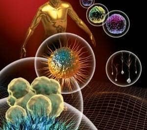 Scaffolds, Stem Cells, and Tissues. Oh, My!