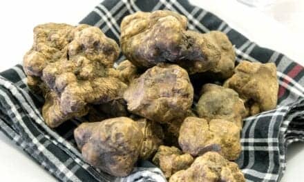 Everything You Need to Know About White Truffle, the Buzzy New Anti-Aging Ingredient