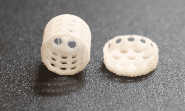 3D Scaffold Improves Breast Reconstruction